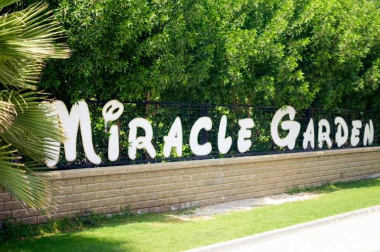 Dubai Miracle Garden Closed From May 31 2022
