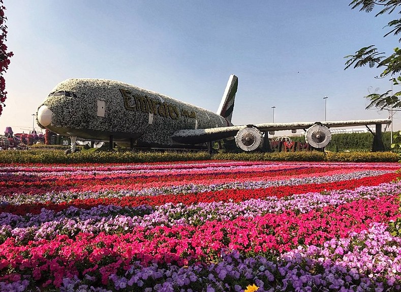 Dubai Miracle Garden, Emirates Airbus A380 