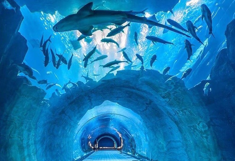 Underwater zoo in Dubai Mall