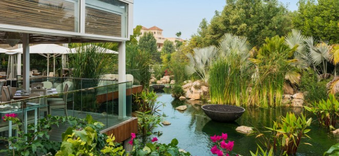 Cafe surrounding by river and green plants and tree